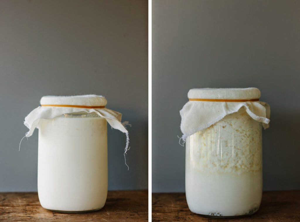 homemade milk kefir My Darling Lemon Thyme