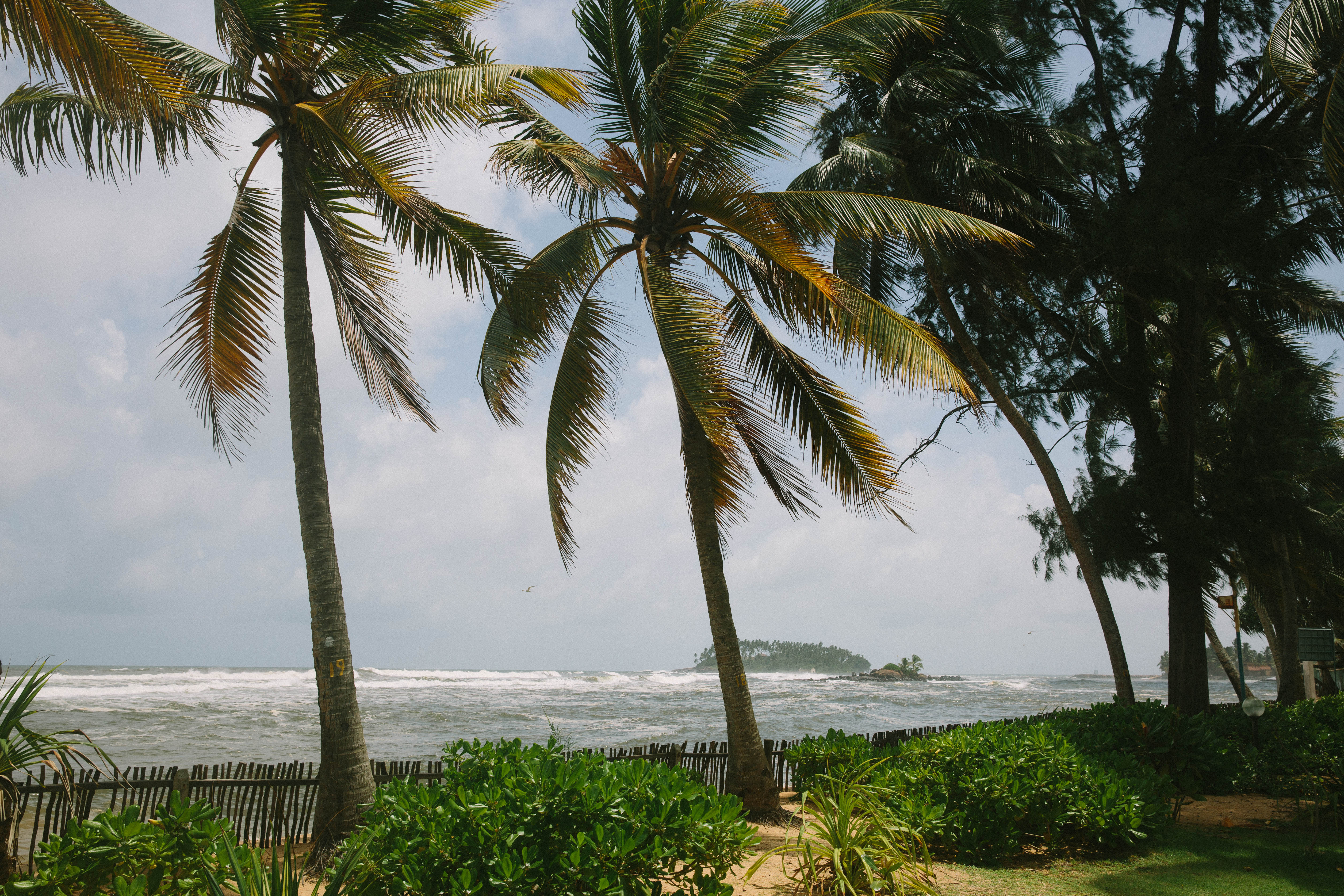 Sri Lanka by Emma Galloway