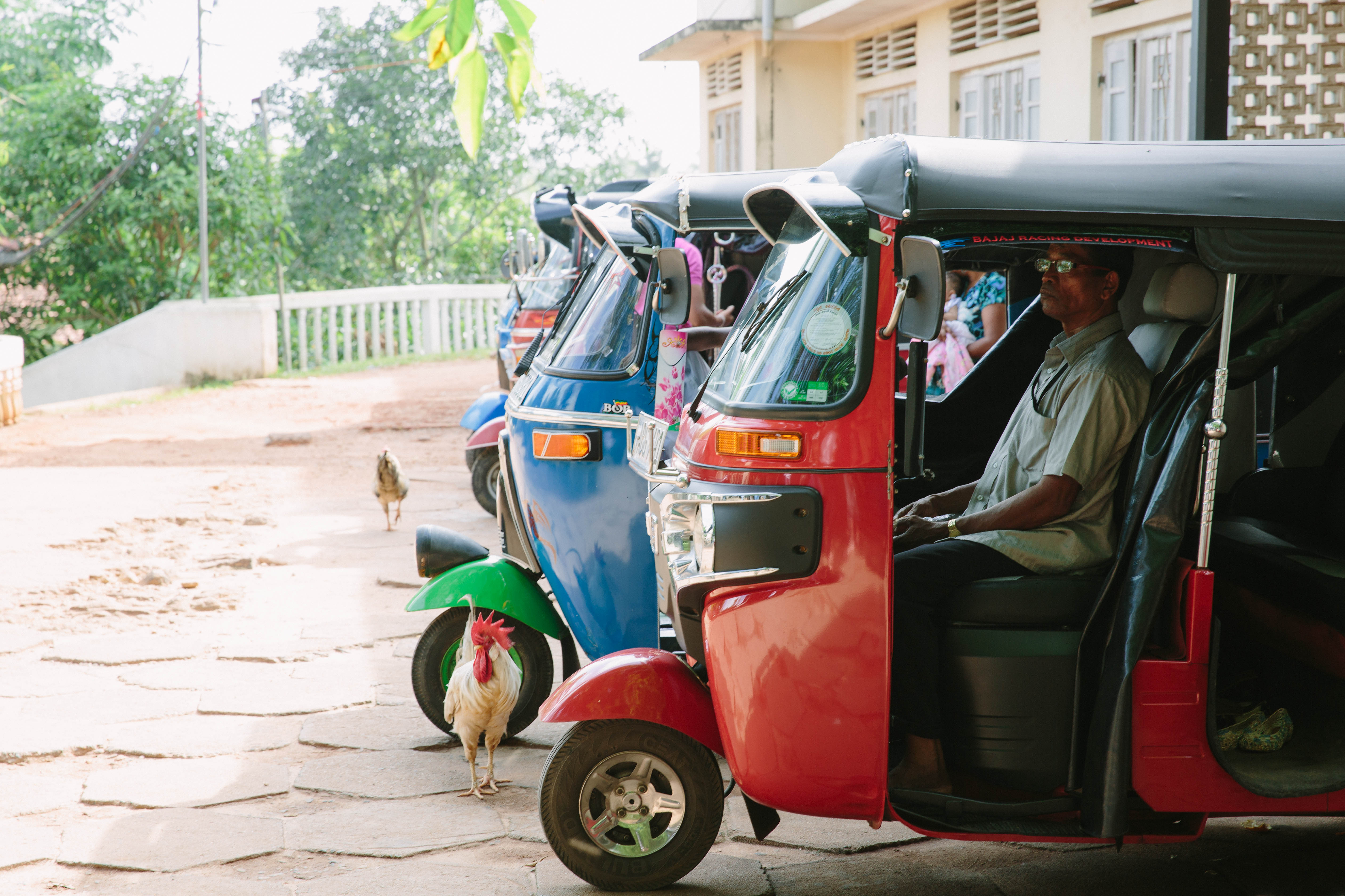 Sri Lanka by Emma Galloway