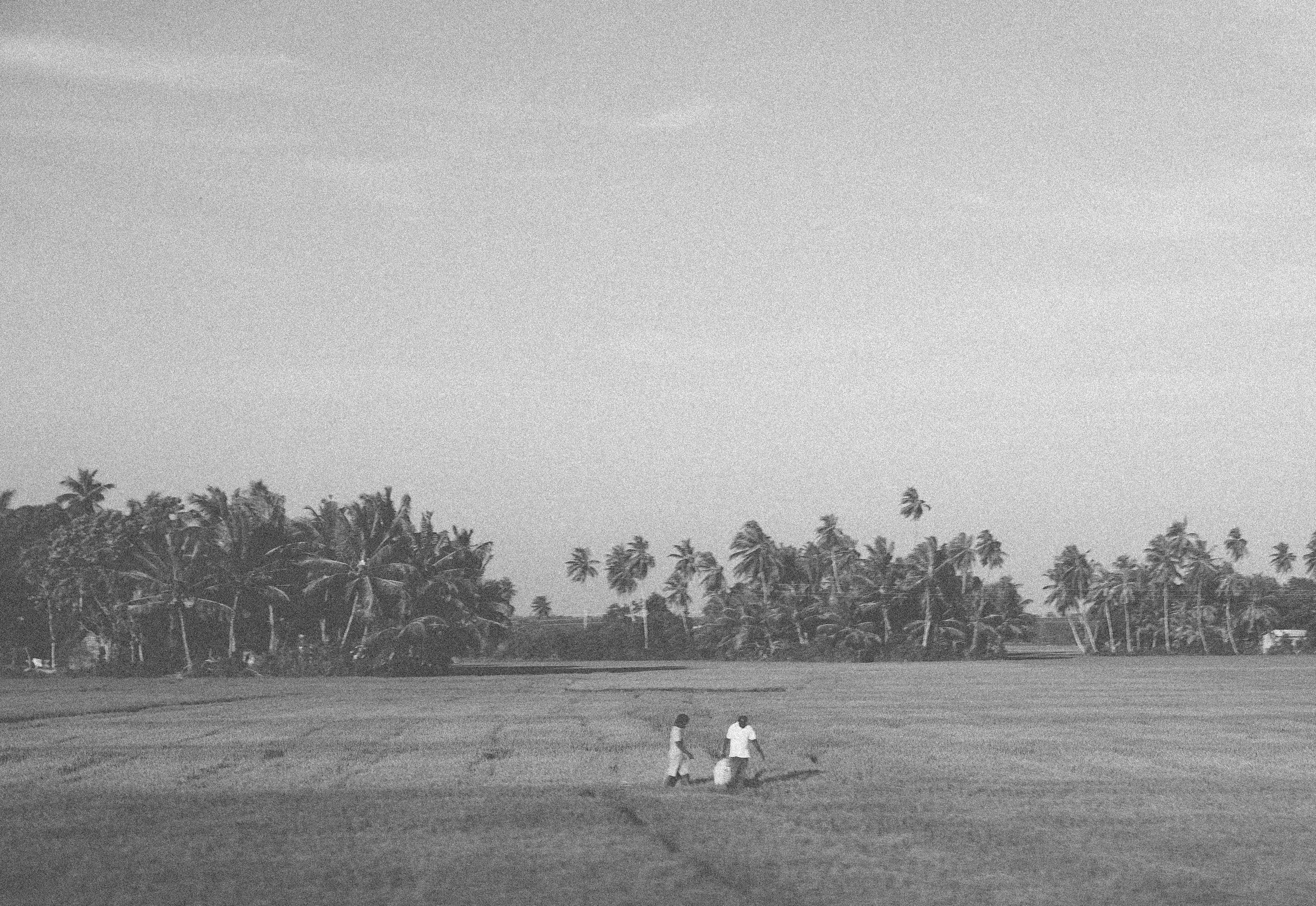 Sri Lanka by Emma Galloway