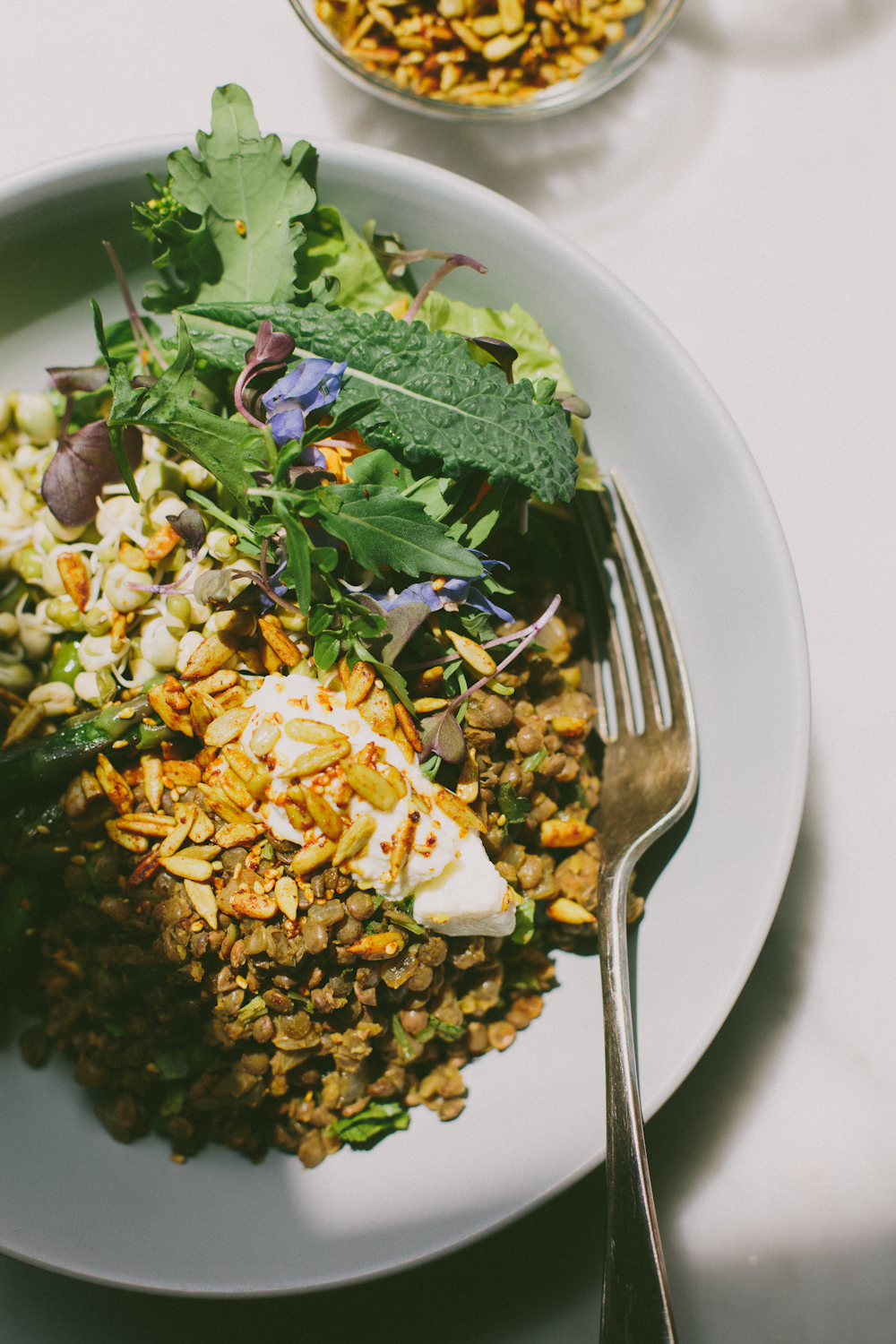 Spiced lentil bowls with turmeric seeds – My Darling Lemon Thyme