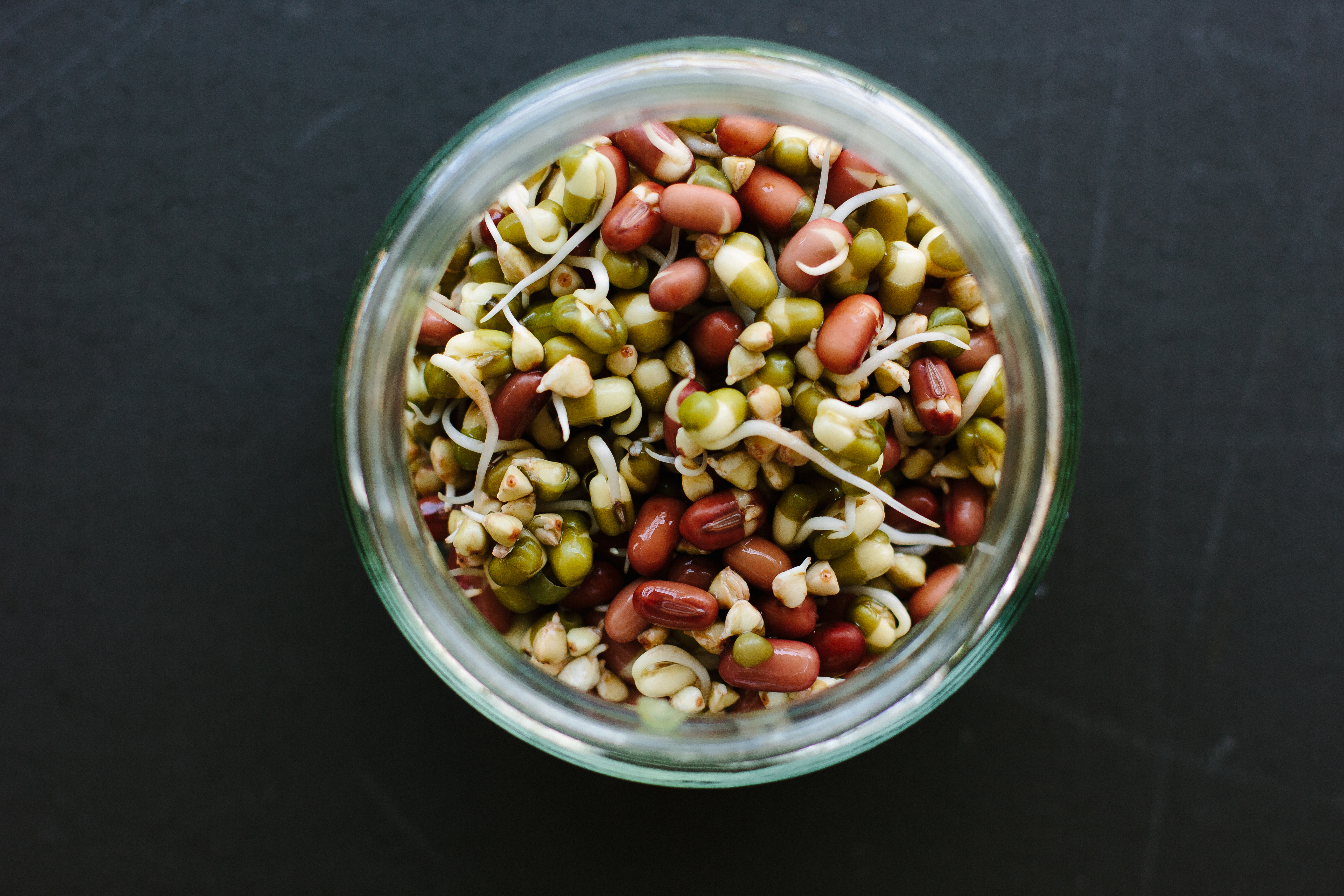 Mung Bean Sprouts, How to Sprout Mung Beans
