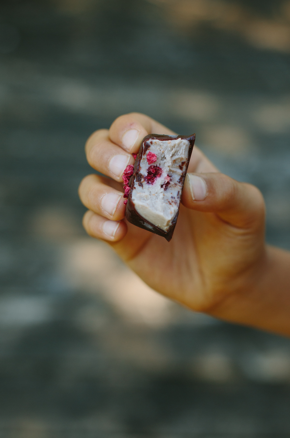 Raw Raspberry + Dark Chocolate Ice Cream Bites | My Darling Lemon Thyme